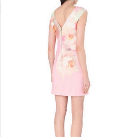 Ted Baker Damona Rose On Canvas Sleeveless Pink Floral Mini Dress - Picture 3 of 12